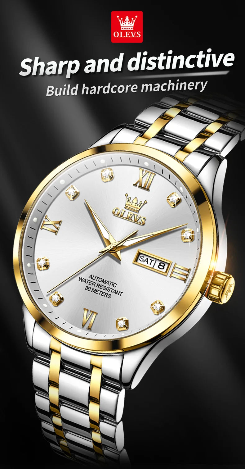 Luxury Automatic Mechanical Watch