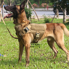 Large Dog Harness