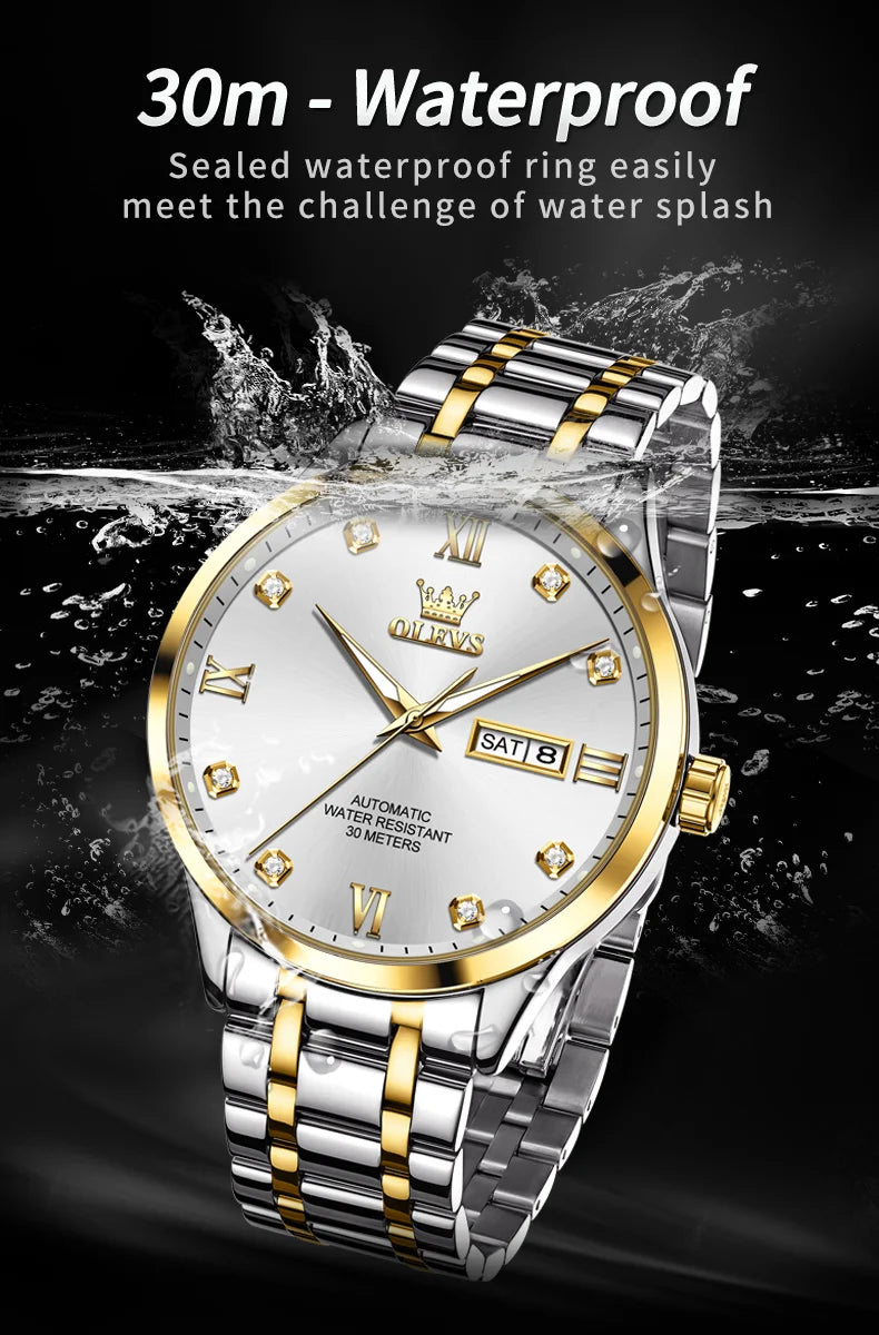 Luxury Automatic Mechanical Watch